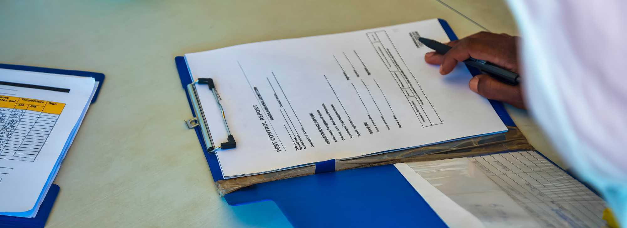 Building And Pest Report